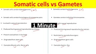 Difference Between Gametes and Somatic cells  Somatic Cells vs Gametes [upl. by Nayab]