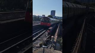 Piccadilly at Hounslow East train railway cool viralvideo london shorts fyp underground [upl. by Notyard]