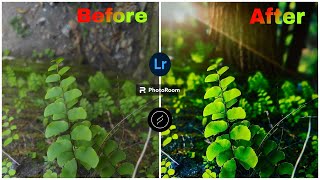 AI BACKGROUND PHOTO MACRO EDITING lightroom lensdistortions photoroom [upl. by Nibbor220]