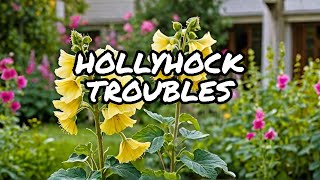 What Happened to My Hollyhocks [upl. by Ziza25]