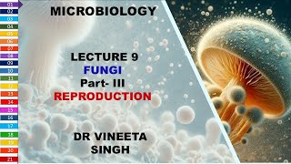 Understanding Fungal Reproduction [upl. by Flanders396]