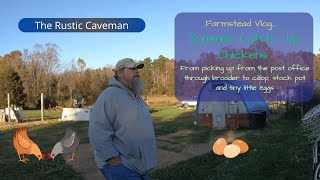 Farmstead Vlo﻿g Summer Catch Up  Chickens  Brooders  Coop  Stock Pot and Tiny Little Eggs [upl. by Cence251]