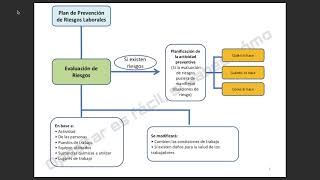 RESUMEN LEY PROTECCIÓN RIESGOS LABORALES [upl. by Sualakcin]