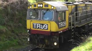 TasRail train 131 TR09TR0520062053 at Bengeo 29092024 [upl. by Asare]