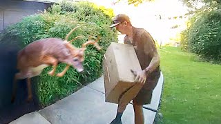 Best Delivery Driver Videos of the Decade [upl. by Cleveland]