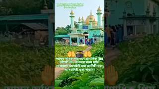 furfuradarbarsharif furfurasorife islamicsongallahallah bestvideo bestgojol shortfeedgojol [upl. by Enelyahs]