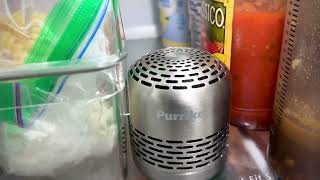 Review of Purriko Refrigerator Deodorizer  10 year air purifier [upl. by Maryjane]