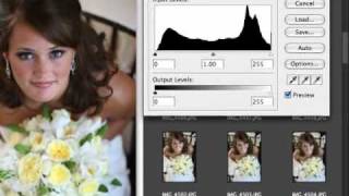 Histograms  Histogram  Digital Photography  Camera [upl. by Adnilram]