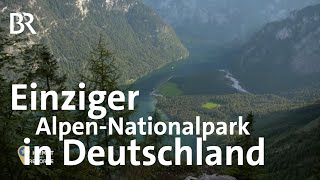 Berchtesgadener Land Der einzige AlpenNationalpark in Deutschland  Heimat der Rekorde [upl. by Ecirtnahc]