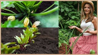 23 Gemüse die du im Juli säen und pflanzen solltest [upl. by Colyer]