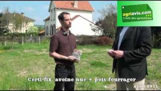 Sem Partners Couverts végétaux video3 [upl. by Avenej]