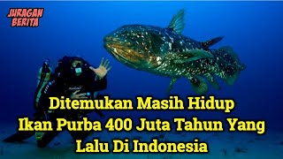 Membuat Kaget Seluruh Dunia  Inilah Penemuan Ikan Purba Coelacanth Di Indonesia  Hewan Purba [upl. by Capello]