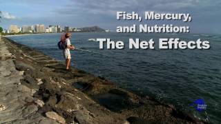 Fish Mercury amp Nutrition The Net Effects [upl. by Jat]