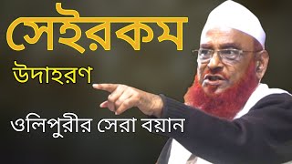 এমন উদাহরণ দিয়ে কঠিন বয়ান ওলিপুরীর পক্ষেই সম্ভব। আল্লামা নুরুল ইসলাম ওলিপুরী Allana Olipuri Waz [upl. by Aikaj]