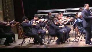 Franz Krommer Concerto para Clarineta e Orquestra Op 36 parte 1 [upl. by Halilad]