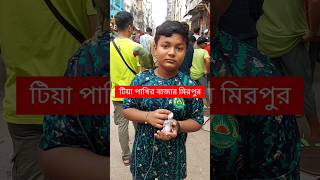 টিয়া পাখির বাজার  Tiya Pakhi  টিয়া পাখি  টিয়া পাখির বাচ্চা  টিয়া পাখির বাচ্চার দাম কত shorts [upl. by Amalbena358]