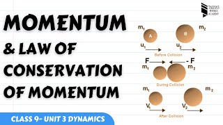 Momentum Law of Conservation of Momentum  Class 9 Physics Unit No3 Dynamics [upl. by Eolcin110]