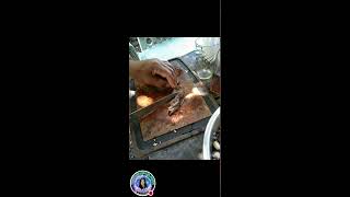 SLICING LIVER AND PORK MEAT [upl. by Bordiuk]