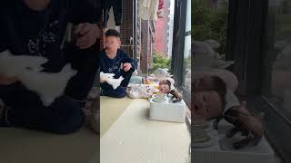 This AMAZING DAD Taking Care of Twin Babies Like a Pro 👶👶 identicaltwins superdad cutebabyvideo [upl. by Vladimar10]