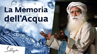 La memoria dellAcqua  Sadhguru Italiano [upl. by Mabelle]