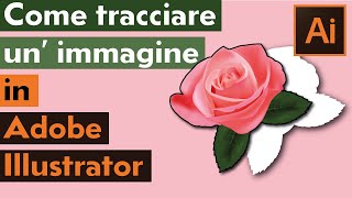 COME TRACCIARE UN IMMAGINE IN ADOBE ILLUSTRATOR [upl. by Ocinemod456]