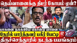 ஐயோ 2 உசுரு போச்சே😭திருச்செந்தூர் யானையின் வெறியாட்டம்💔துடிதுடித்த 2 உடல்கள்😮நடந்தது என்ன Elephant [upl. by Halian]