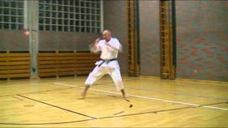 Kata Lexikon  Heian Shodan  stark [upl. by Rozek660]