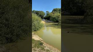 Cadman’s Pool New forest uk [upl. by Nnaael]