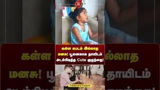 கள்ள கபடம் இல்லாத மனசு பூனைகாக தாயிடம் அடம்பிடித்த cute குழந்தை catlove tnnewstoday [upl. by Adnwahs]