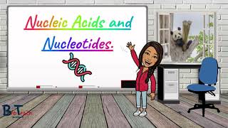 Nucleotides and Nucleic Acids  A level BiologyBTEC Applied Science  BioTeach [upl. by Ultann881]