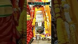 श्री महाकालेश्वर जी संध्या आरती उज्जैन🌹 ujjain sandhyaaarti livedarshan shortsfeed short [upl. by Anilec842]