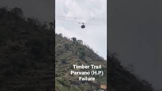 Timber Trail PARWANOO Failure OMG 😳Timber Trail PARWANOO HIMACHAL PRADESH RISKY ROAD IS SAFE [upl. by Bartolemo]