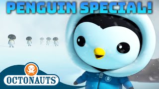 Octonauts  🐧 Penguin Chase 🚜  70 Mins Compilation  Underwater Sea Education for Kids [upl. by Nuzzi914]