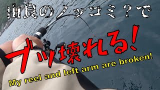 【ダンゴ釣り】由良のノッコミ始まった？？昼過ぎには撤収じゃW W W◯◯壊れても頑張ったカミーン！ [upl. by Auhs719]