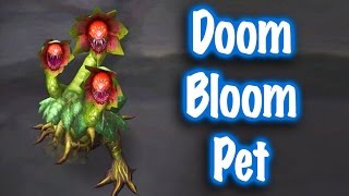 Jessiehealz  Doom Bloom Pet Guide World of Warcraft [upl. by Nnayllehs]