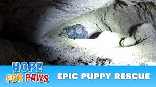 Epic puppy rescue  18 feet into the earth Dangerous Hope For Paws rescue puppy [upl. by Odlaw]