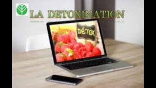 LA DETOXINATION [upl. by Larimor593]