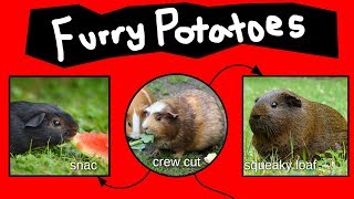 Furry Potatoes [upl. by Shelley]