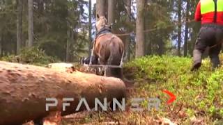 Pfanner Forestry Clip 2019 [upl. by Elish]