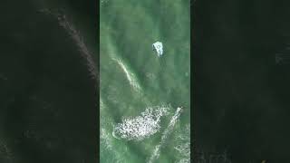 Kitesurf poesia dronevideo travel kitesurfing [upl. by Marceau]