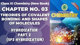 Ch 3 Theories of covalent bond  Types of Hybridization  sp3 hybridization  Class 11 chemistry [upl. by Alcine]