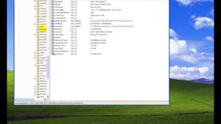 Windows XP aktivierung umgehen [upl. by Ekyt]
