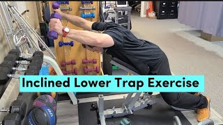 Inclined Lower Trap Exercise [upl. by Yregram]