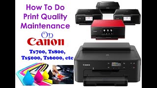 How To Do Maintenance on canon TS Printer [upl. by Ekralc]