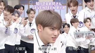 【SEVENTEEN 知ってるお兄さん 日本語字幕 】爆笑シーンまとめ  本業芸人  セブチ seventeen carat セブチ 知ってるお兄さん [upl. by Elleinet940]