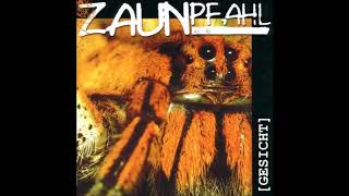 Zaunpfahl  Gesicht Full Album [upl. by Lledyl]