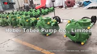 Tobee® 3x2 and 6x4 AntiCorrosive Horizontal Slurry Pumps [upl. by Notgnihsaw]