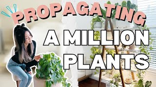 I Propagated a Million Plants at Midnight  Q amp A  Plant Chores  Houseplant Care Routine Tips [upl. by Hserus553]