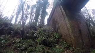 The Hawkhurst branch line  hop pickers line  hawkhurst to goudhurst trackbed walk part 1 [upl. by Ellertnom391]