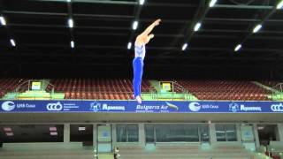 Steven Gluckstein  Optional Routine  2013 World TampT Championships  Qualification [upl. by Aivek]